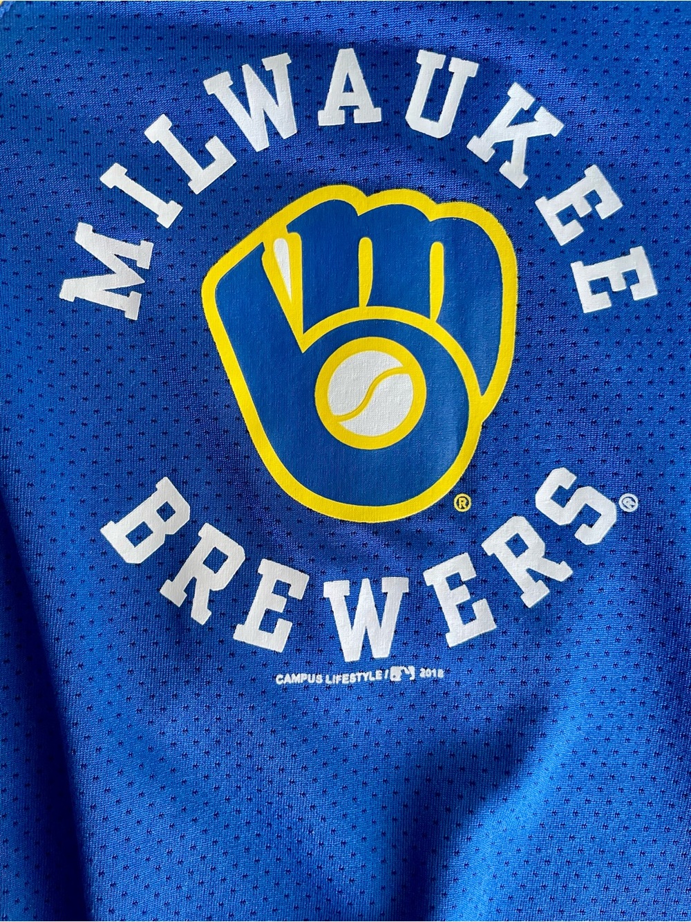 Milwaukee Brewers button down mesh baseball jersey - youth XL - Picture 3 of 5